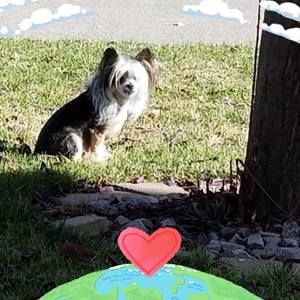 Meet your Posher, Denise